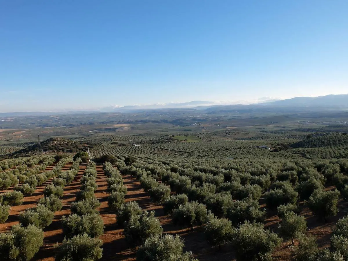 Cortijo El Carretero, Vistas Y Tranquilidad Otel Granada